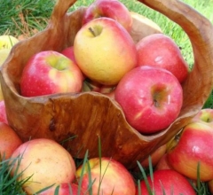 Ученые выяснили, что яблочный сок особо полезен при лечении болезни