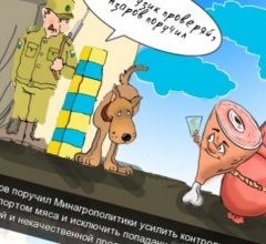Азаров поручил усилить контроль за импортом мяса.